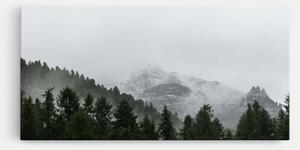 Tablou Canvas, 50x100cm, Dormitor si Living, Peisaje, Paduri, Foggy Mountain Forest
