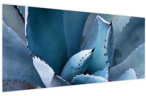 Tablou - Agave (120x50 cm)