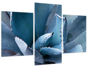 Tablou - Agave (90x60 cm)