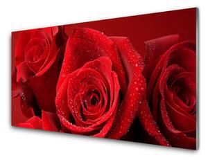Panou sticla bucatarie Trandafiri Floral Red