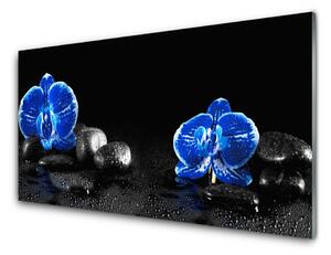 Panou sticla bucatarie Pietre florale flori albastru negru