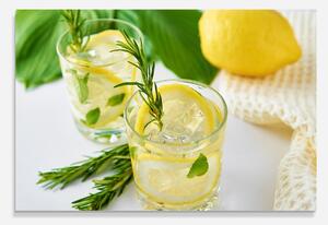Panou Sticla Bucatarie, 30x40cm, Protectie aragaz, Antistropi, Termorezistent, Alimente, Bauturi, Lemon Rosemary Drink