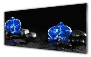 Panou sticla bucatarie Pietre florale flori albastru negru