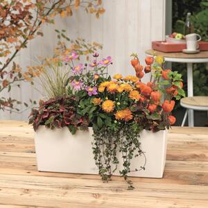 LECHUZA Jardinieră Balconera Color 50 ALL-IN-ONE, alb, 15670 15670