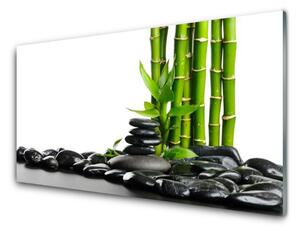 Panou sticla bucatarie Bamboo Pietre Arta Verde Negru