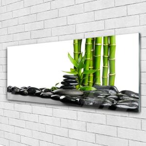 Tablou pe sticla Bamboo Pietre Arta Verde Negru