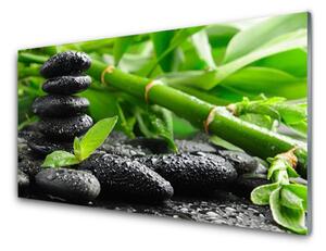 Tablou pe sticla Bamboo Pietre Floral Verde Negru