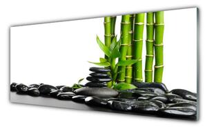 Panou sticla bucatarie Bamboo Pietre Arta Verde Negru