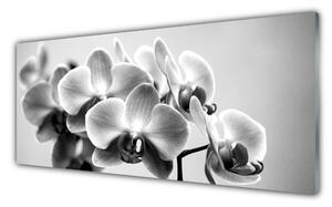 Tablou pe sticla Flori Floral Gray