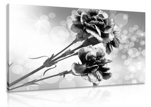 Tablou floare de garoafe în design alb-negru