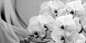Tablou orhidee pe o pânză în design alb-negru