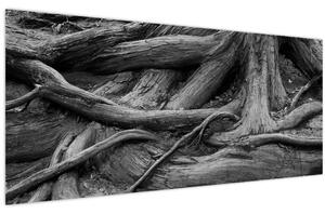 Tablou - Rădăcinile copacului (120x50 cm)