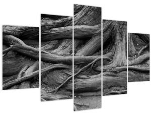 Tablou - Rădăcinile copacului (150x105 cm)