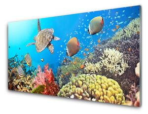 Panou sticla bucatarie Coral Reef Peisaj Multi