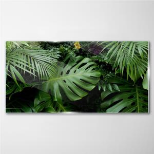 Tablou sticla Frunze de junglă tropicală
