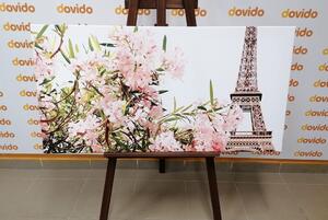 Tablou Turnul Eiffel și florile roz