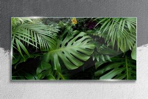 Tablou sticla Frunze de junglă tropicală