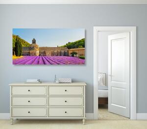 Tablou Provence cu câmpuri de lavandă