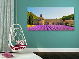 Tablou Provence cu câmpuri de lavandă