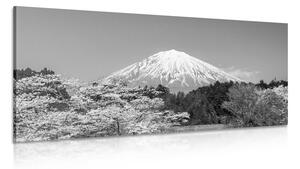 Tablou muntele Fuji în design alb-negru