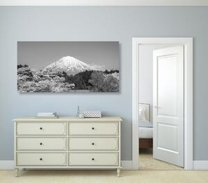 Tablou muntele Fuji în design alb-negru