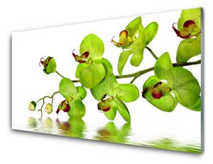 Tablou pe sticla Flori Floral Verde