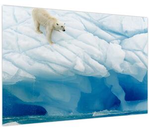 Tablou - Ursul polar (90x60 cm)