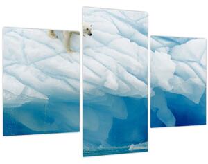 Tablou - Ursul polar (90x60 cm)