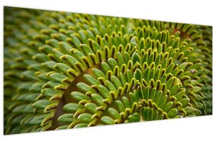 Tablou - Fern (120x50 cm)
