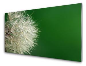 Tablou pe sticla Păpădie Floral Alb Verde