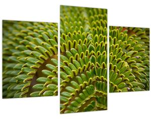 Tablou - Fern (90x60 cm)