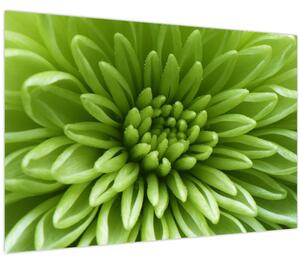 Tablou - Imagine macro a unei plante (90x60 cm)