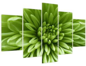 Tablou - Imagine macro a unei plante (150x105 cm)