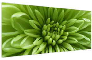 Tablou - Imagine macro a unei plante (120x50 cm)