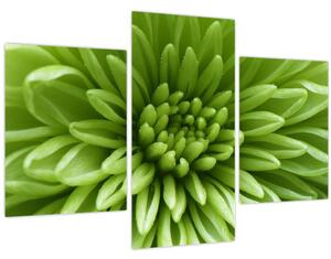 Tablou - Imagine macro a unei plante (90x60 cm)