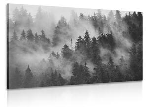 Tablou munți în ceață în design alb-negru