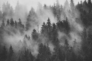 Tablou munți în ceață în design alb-negru