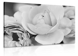 Tablou plin de trandafiri în design alb-negru
