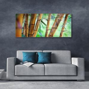 Tablou pe sticla Bamboo Natura Galben
