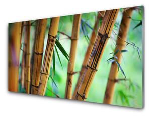 Panou sticla bucatarie Bamboo Natura Galben