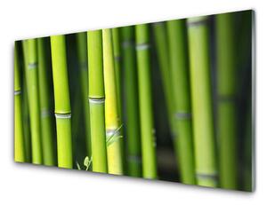 Panou sticla bucatarie Bamboo Natura Verde