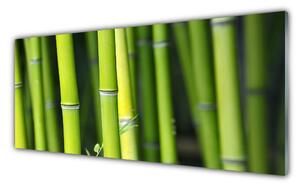 Tablou pe sticla Bamboo Natura Verde