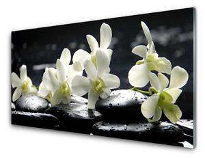 Tablou pe sticla Pietre florale flori alb negru