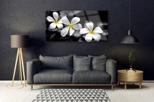 Tablou pe sticla Pietre florale flori alb negru