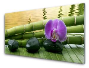 Tablouri acrilice Floare pietre de bambus Tulpini Floral Roz Negru Verde