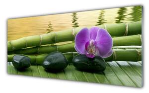Tablouri acrilice Floare pietre de bambus Tulpini Floral Roz Negru Verde