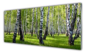 Panou sticla bucatarie Natural Pădurea Neagră Alb Verde