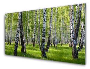 Tablouri acrilice Natural Pădurea Neagră Alb Verde