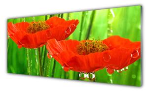Tablou pe sticla Maci Floral Roșu Verde