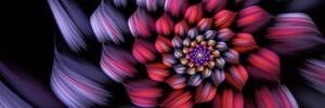 Tablou fantezie floare colorată